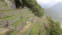 Machupicchu (125)