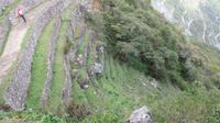 Machupicchu (127)