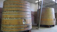 Maipo-Tal (14)