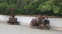 Maipo-Tal (22)