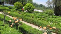 Maipo-Tal (24)