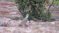 Maipo-Tal (3)