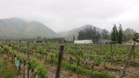 Maipo-Tal (4)