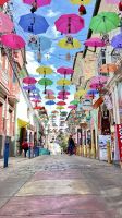 Mercado de las Brujas- La Paz- Bolivia