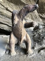 Milodon-Höhle 