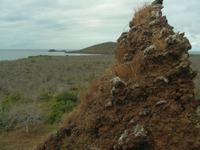 Mirador 2