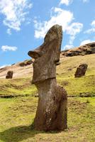 Moai am Steinbruch