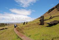 Moai am Steinbruch