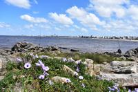 Montevideo (2)