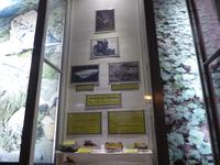 Museum 
