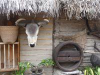 Museum Inti Nan