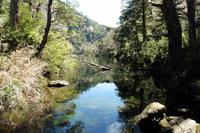 NP Huerquehue