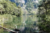 NP Huerquehue