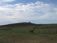 Nanu Farm