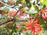 Nationalpark Los Glaciares