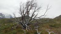 Nationalpark Torres del Paine