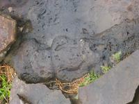P1200756