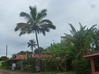P1200784