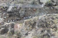 Panoramazugfahrt nach Aguas Calientes