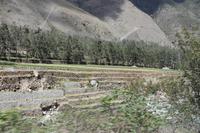Panoramazugfahrt nach Aguas Calientes