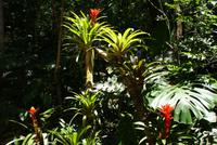 Parque das Aves (4)