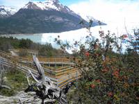 Perito Moreno Gletscher