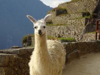 Peru Machu Picchu 