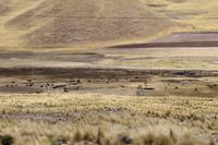 Peru: La Raya Pass