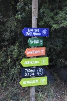 Petrohue Falls