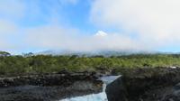 Petrohue