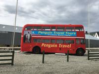 Pinguin Express