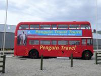 Pinguin-Shuttle