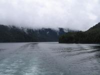 Pirihueico See