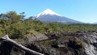 Puerto Montt - Vulkan Osorno - Chile - Kreuzfahrt Südamerika – Umrundung Kap Hoorn