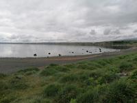 Puerto Natales