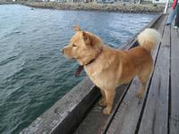 Puerto Natales