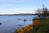 Puerto Varas