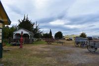 Punta Arenas (6)