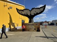Punta Arenas