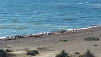 Punta Norte