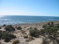 Punta Norte