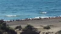 Punta Norte