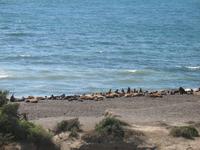 Punta Norte