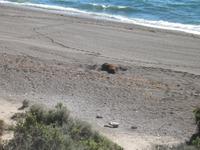 Punta Norte