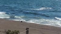 Punta Norte