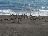 Punta Norte