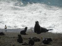 Punta Norte