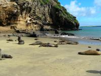 Punta Pitt