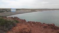 Punta Tombo (Beobachtung der Magellan-Pinguine)