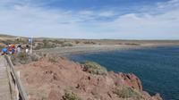 Punta Tombo